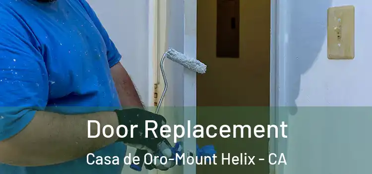 Door Replacement Casa de Oro-Mount Helix - CA