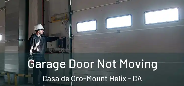  Garage Door Not Moving Casa de Oro-Mount Helix - CA