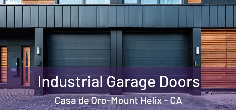  Industrial Garage Doors Casa de Oro-Mount Helix - CA