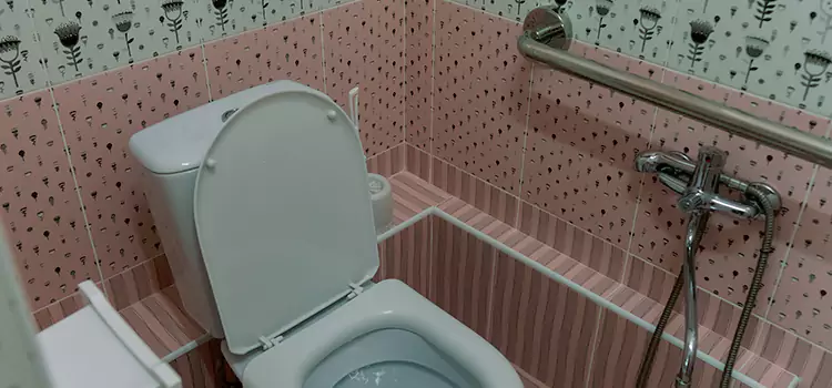 Meeting Diverse Needs With Accessible Restroom Solutions in Casa de Oro-Mount Helix, CA