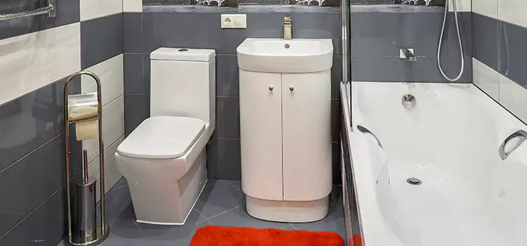 Hansgrohe Shaving Mirror Casa de Oro-Mount Helix