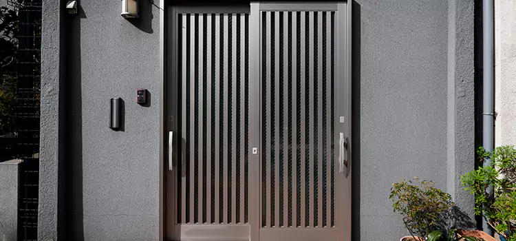 Specialized Steel Door Services in Casa de Oro-Mount Helix, CA