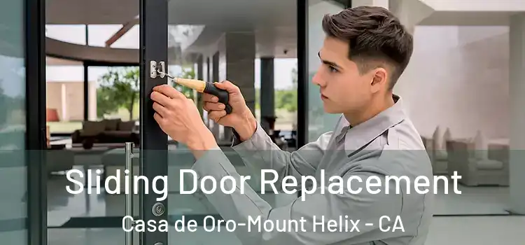  Sliding Door Replacement Casa de Oro-Mount Helix - CA